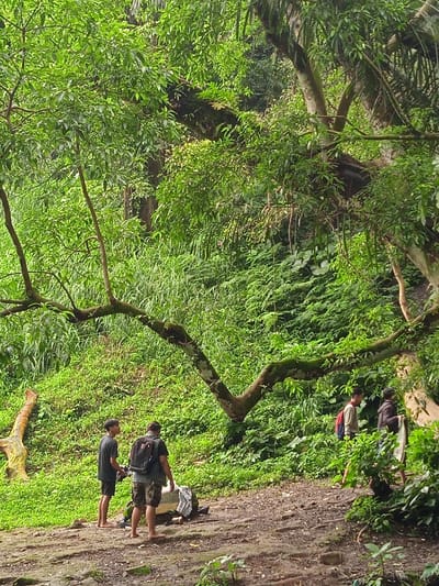 The image shows a scene in a lush, green, tropical forest in Kecamatan Tawangmangu, Indonesia, located at coordinates -7.656 latitude and 111.135 longitude.  Three men stand on a dirt path, with a fallen tree trunk to their left. The men are dressed casually. One wears a dark blue t-shirt, one wears a light blue t-shirt, and the other wears a black tank top with a backpack.  There is a fourth man, wearing a red shirt, standing near a large, leafy bush. They are all looking at the camera.  The environment consists of a large, thick-trunked tree, with many branches and foliage.  Behind the tree, a thick growth of green plants fills the background.  The ground is covered in dirt, rocks, and fallen leaves.  The sky is not visible.  The men are not interacting with each other, they are all standing still.  The only action is their position.