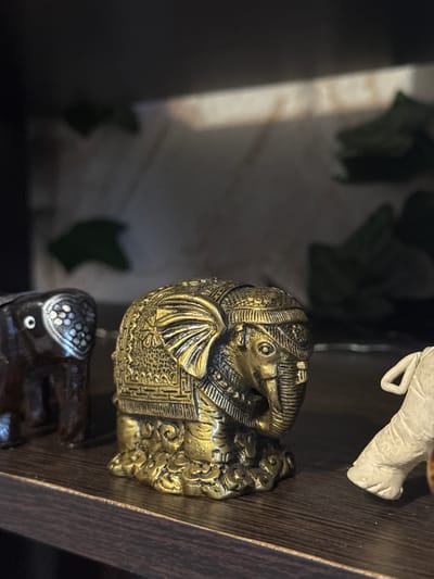The image depicts a close-up of decorative objects displayed on a dark wooden shelf. A golden-colored, intricately detailed figurine of a bird, possibly an ibis or related species, is in focus. The figurine is adorned with patterns and designs. Above the bird, a portion of a white figurine, possibly an animal's leg, is visible. Below the bird, part of a dark, ornate object is also seen. The background is blurred, revealing hints of foliage and the edge of a surface.
The location in the city of Kladovitsy, Russia cannot be determined.