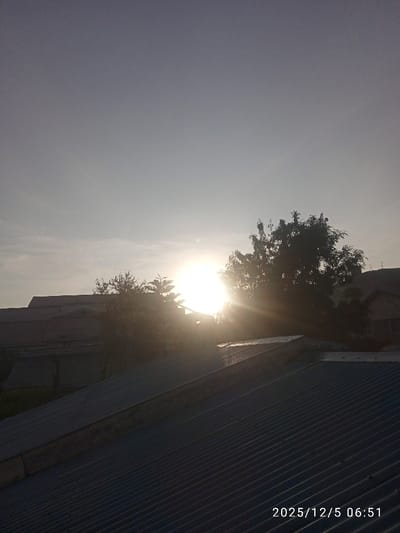 The image shows a sunrise or sunset scene. The bright sun shines through trees and rooftops, creating a lens flare effect. A corrugated metal roof dominates the foreground. Buildings and additional trees are visible in the midground. The sky is light, likely indicating early morning or late afternoon. A date and time stamp, "2025/12/5 06:51," is located in the bottom right corner.