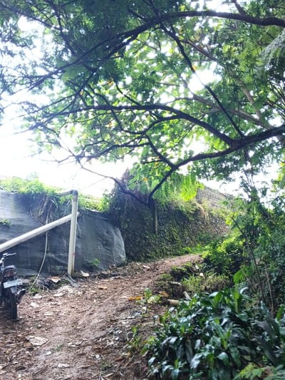 A winding dirt path leads uphill, bordered by dense green vegetation. To the left, a gray structure stands with white pipes. A stone wall covered in moss rises alongside the path. The canopy of trees overhead filters sunlight, creating dappled light on the ground. A parked motorcycle is visible on the left edge of the frame. The scene evokes a sense of rural tranquility.