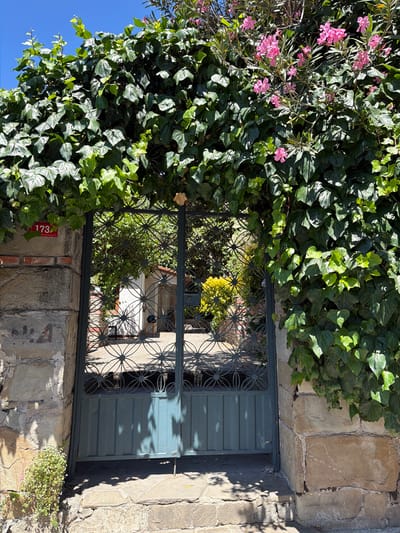 In the Kuzguncuk neighborhood of Üsküdar, Turkey, a dark green metal gate is partially obscured by abundant green ivy and pink oleander flowers. The gate features a decorative circular metal pattern above solid vertical slats. To the left of the gate, a stone wall supports a red plaque displaying the number "173" in white. The ground in front of the gate is paved with stone slabs, and small green plants with white flowers grow near the base of the wall. Sunlight casts shadows through the gate and foliage onto the ground. The background reveals a glimpse of a white building and more greenery.