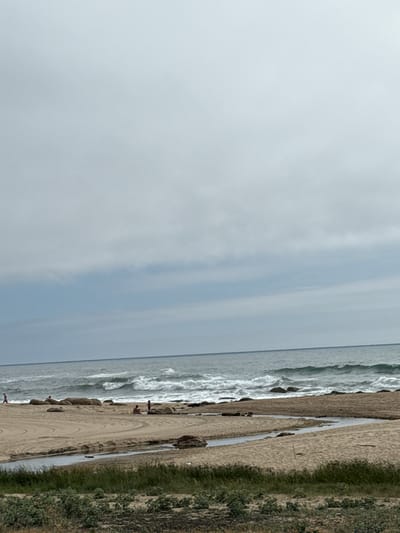 The image shows a beach scene in Vila Nova de Gaia, Portugal. The sky is overcast, and the Atlantic Ocean has visible waves breaking on the shore. The beach is sandy, with a strip of vegetation running parallel to the sand. Several people are present on the beach, but their activities are unclear due to distance and image quality.