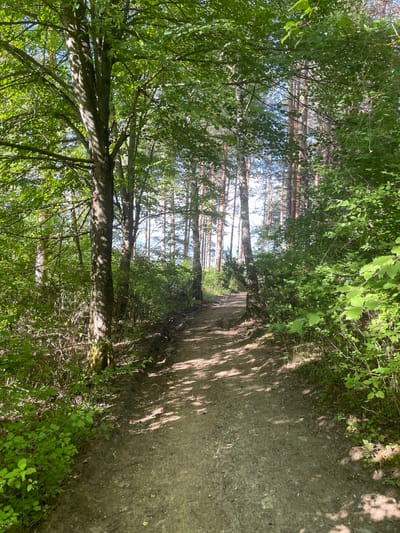 The image depicts a dirt path winding through a forest, potentially located near Novo Leski, Bulgaria. The path is surrounded by trees and foliage, with dappled sunlight filtering through the canopy. The scene suggests a natural environment with a walking trail. No people or specific objects are clearly visible, focusing on the pathway and surrounding greenery. The environment is lush and indicative of a wooded area.
