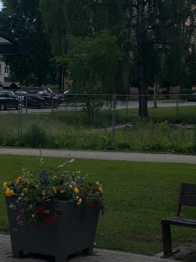 The image shows a park-like setting with a paved walkway and a grassy area. On the left side, there are trees and a fence with cars parked behind it. The cars appear to be in a lot or parking area. On the right side, there is a large dark planter filled with a variety of colorful flowers. The flowers include yellow, red, purple, and white blooms, with lush green foliage. A dark wooden bench with metal supports is visible in the background on the right. The scene suggests a daytime setting, possibly in the summer or late spring, given the blooming flowers and green grass. There are no visible people or specific events taking place; it's a static scene of an outdoor environment. The image is taken from a slightly elevated perspective, looking down and across the scene. The overall impression is one of a well-maintained public space with decorative elements. There is no visible text in the image.