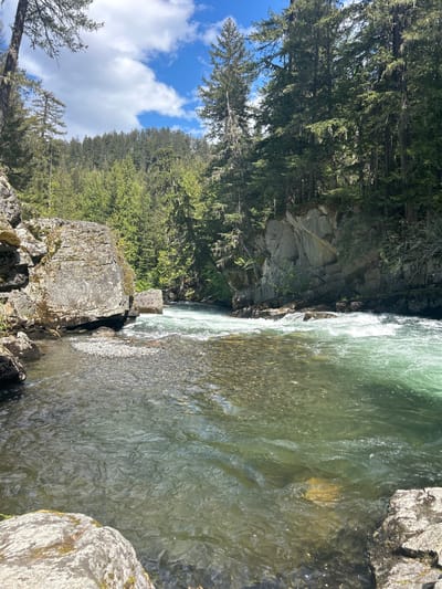 This outdoor shot depicts a river cascading through a rocky, forested landscape. The water is clear with a greenish hue, suggesting the presence of minerals or algae, and ripples indicating flow. The banks consist of large, lichen-covered rocks and boulders. Dense evergreen trees line the left side, filling most of the frame with a glimpse of blue sky and clouds visible above the forest canopy. The photograph gives the impression of a remote, natural setting. Without additional information or evidence within the image, it's impossible to pinpoint the exact location in Whistler, Canada.