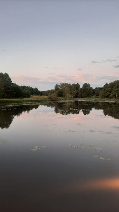 The image depicts a serene lake at dusk, likely in the vicinity of Жодзішкаўскі сельскі Савет, Belarus. The sky transitions from a pale blue at the top to soft pink and white hues near the horizon, where scattered clouds are visible. The water is calm and reflects the trees and sky, creating a mirror image of the landscape. The shoreline is lined with lush green trees and vegetation, with some taller trees forming a dense backdrop. A few lily pads are scattered across the surface of the lake. The overall atmosphere is peaceful and tranquil, characteristic of a rural evening. There are no people or animals visible in the image.