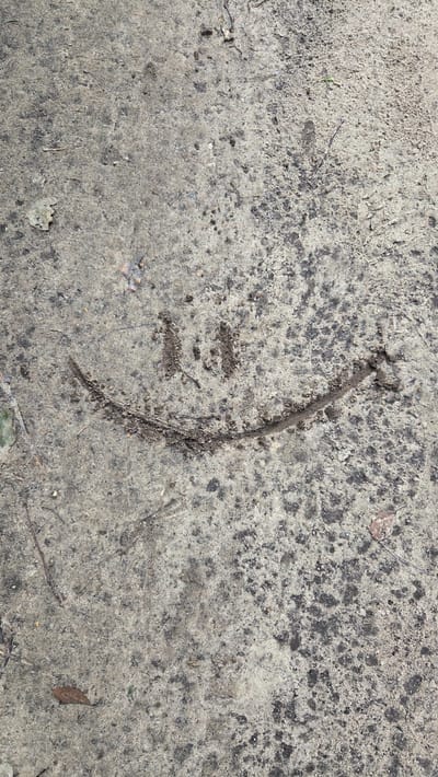A smiley face is drawn in the dirt on a concrete surface. The smiley face is made of two eyes, represented by two small smudges, and a curved line for the mouth. The concrete is a light gray color with dark speckles and some debris, including small leaves and twigs, scattered on its surface. The image is taken from a high angle, looking down at the smiley face. This is a photograph taken in the city of Cekule, Latvia.