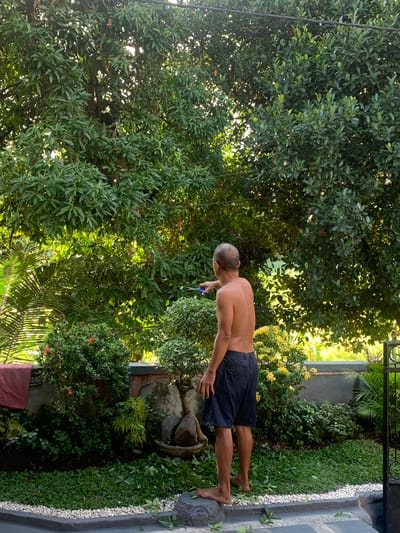 A shirtless man wearing dark shorts is seen from the back, standing in a garden. He is bent over slightly, with his right hand holding a blue object, possibly a tool for gardening or cleaning. The garden setting is lush and green, with large trees and various plants. Sunlight filters through the leaves, creating dappled light and shadow. There are also some decorative stones and a paved pathway visible. The time of day appears to be daytime, with bright sunlight indicating fair weather. The location cues, such as the type of vegetation and the overall ambiance, are consistent with a tropical setting like Sukasada, Indonesia. No text is visible in the image.