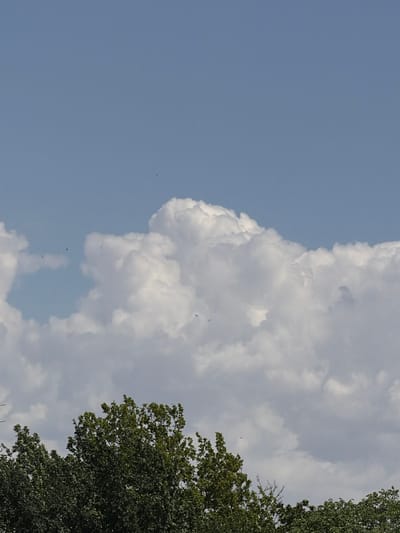 The image depicts a view of the sky with large, fluffy white clouds against a clear blue sky, with the tops of green trees visible at the bottom of the frame. Several small, dark silhouettes of birds are scattered across the sky, indicating they are in flight. The overall scene suggests an outdoor environment, possibly in a park or a suburban area within the city of Chirchik, Uzbekistan, given the presence of trees and a clear sky. There are no people or specific man-made structures immediately identifiable in the frame, suggesting a focus on the natural elements of the sky and vegetation.