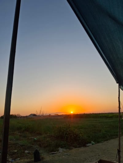 The image depicts a sunset scene with a clear sky transitioning from light blue to orange. In the foreground, a wooden pole and a dark fabric are visible on the right side, framing the view. A grassy field stretches out towards the horizon, with scattered vegetation and some debris on the ground. In the distance, a building with a pyramid-shaped roof can be seen, along with trees and the silhouette of mountains. The overall impression is one of a rural or semi-urban landscape at dusk in Utmayli, Uzbekistan.