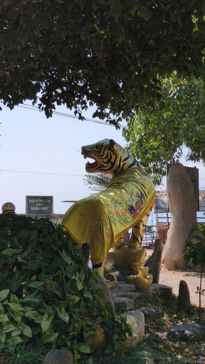 A ground-level, upward-facing shot of a tiger statue wearing a gold embroidered garment. The statue stands atop a stone structure surrounded by foliage. A sign, partly obscured by the greenery, reads "KHU ĐÔNG CAM ĐỀ NGỌC DƯC" in Vietnamese. The statue is near Lâm Sơn in Vietnam.