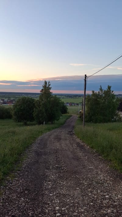 A vertical, eye-level outdoor shot captures a gravel road winding through grassy fields and trees towards a distant village under a twilight sky. The road, composed of dark gravel and dirt, occupies the foreground and middle ground. To the left and right of the road, tall grass and scattered bushes create a natural border. In the middle ground, several trees, including a prominent birch tree, stand tall amidst the green landscape.

Beyond the trees, the village of Kempelevo, Russia, is visible with houses scattered across the fields. The background is dominated by a soft twilight sky, transitioning from a pale blue at the top to hues of pink and orange near the horizon, where a band of dark clouds adds depth. A utility pole with wires is positioned on the right side of the frame, adding a man-made element to the rural scene. The overall impression is one of peaceful rural scenery at dusk.