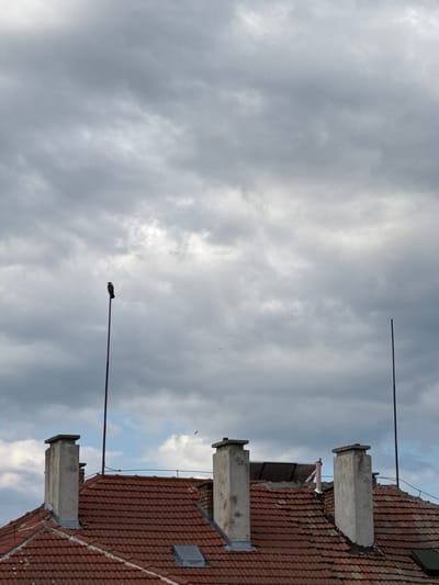 The image shows a close-up view of a tiled rooftop with several chimneys. A single bird is perched on a tall, thin purple pole in front of a cloudy sky. In the background, solar panels are visible on the roof. The scene appears to be in Kazanlak, Bulgaria, though no specific landmarks or indicators of this location are present within the frame.