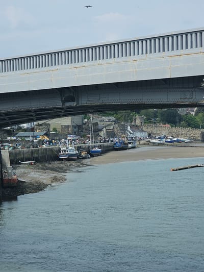 A view of the River Conwy and the Conwy Quay from under the Conwy Railway Bridge in Llandudno Junction, United Kingdom.  The bridge structure is partially visible on the left side.  A row of boats is docked along the shore. A small cluster of buildings is nestled into the riverfront. A small bird is visible in the sky at the left of the image. The Conwy Quay and surrounding structures are situated along the riverbank. The water's surface extends into the right portion of the image.
