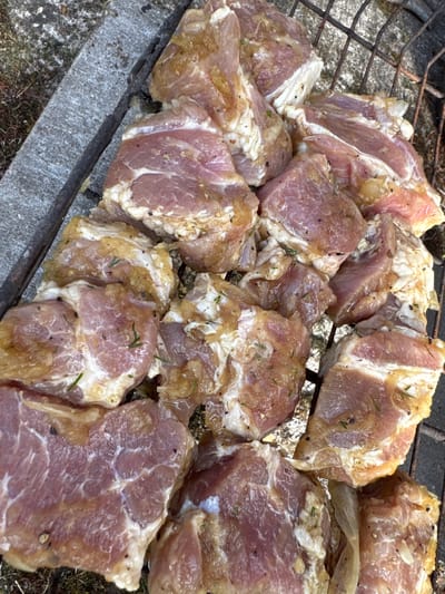 Raw, marinated meat, likely pork, is arranged on a metal grill grate. The meat is cut into irregular chunks, some with visible fat marbling. It appears to be seasoned with herbs and possibly pepper. The grill grate is resting on a rough, grey concrete surface, which is adjacent to dry, sparse vegetation. The overall scene suggests preparation for outdoor cooking, possibly a barbecue. The location is identified as Gvardeysk, Russia, indicating an outdoor setting in that region. There are no people visible in the image.