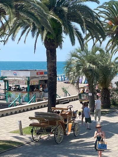 The image depicts a sunny day scene in Abaata, Abkhazia, near the Black Sea coast. In the foreground, a vintage horse-drawn carriage is parked on a paved walkway, with its wooden seats and spoked wheels visible. Several people are in the vicinity; a woman wearing a straw hat and sunglasses is holding a phone and a bag, while another woman in a blue dress is in the background. A man in a white t-shirt and beige pants stands further away. Behind the walkway, a beachfront cafe with outdoor seating and menus displayed is situated near the sandy beach. Palm trees line the area, casting shadows on the ground. In the distance, the blue waters of the Black Sea stretch out under a clear sky. Surfboards and beach umbrellas are visible on the beach, suggesting a recreational atmosphere.