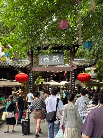 This is a detailed image of a bustling outdoor scene in the Qingyang District of Chengdu, China, specifically depicting the entrance to the Heming Tea House, identified by the prominent "鹤鸣" (Hè Míng) characters on the dark horizontal sign of a traditional wooden archway. The perspective is from behind a crowd of people, looking forward towards the archway and beyond into a tree-lined, possibly market or park, area.

The scene is heavily shaded by a dense canopy of lush green deciduous trees, whose leaves dominate the upper portion of the frame. Below the foliage, a dark, ornate wooden archway with a tiled roof serves as a significant architectural feature. On either side of the path leading up to this archway, two large, spherical red lanterns with yellow tassels hang, providing vibrant color. Additional decorative elements include cubic lanterns – one pink on the left and one blue on the right – suspended from tree branches, along with a vertical string of pale, rectangular ornaments featuring carved Chinese characters.

A large number of people are visible, primarily from behind, navigating a paved pathway that appears to be a bridge or raised walkway. They are casually dressed in a variety of modern clothing. Actions include walking, conversing, and some individuals are actively using smartphones to take pictures, such as a man in a green short-sleeved shirt on the left, holding his phone up. Another woman in a striped shirt and brown skirt is pulling a black, hard-shell rolling suitcase.

On the wooden posts adjacent to the archway, vertical black planks with white Chinese characters are mounted. One visible plank lists "品茗" (Pǐnmíng - taste tea) and other related terms, reinforcing the identity of the tea house. Numerous light-colored outdoor umbrellas are visible in the background, suggesting areas for seating or vendor stalls under the trees. The overall environment conveys a lively, traditional, and well-maintained public space.
