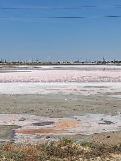 The image depicts a vast, shallow body of water with a distinctly pink hue, likely a salt lake or evaporation pond. The water's surface is textured with white salt crystals and patches of reddish-orange, suggesting varying mineral concentrations. In the foreground, a dry, sandy shoreline is visible, interspersed with sparse, dry vegetation and some darker, wet patches. A bright blue piece of trash is incongruously present on the shoreline.

In the background, a long, flat horizon is dominated by industrial infrastructure. Numerous tall, lattice-like power pylons and other industrial structures are silhouetted against a clear, bright blue sky. The line of pylons suggests proximity to a power generation facility or an industrial complex. The presence of these structures, along with the man-made appearance of the salt evaporation ponds, indicates an industrial or resource extraction setting.

The lighting suggests it is daytime, likely late morning or early afternoon, given the bright sun and clear sky. The weather appears to be fair and sunny, with no clouds visible. The overall scene evokes a sense of industrial landscape meeting a natural, albeit modified, environment. There is no visible text in the image. The location context of Ömirzaq, Kazakhstan, aligns with the industrial and possibly resource-rich landscape suggested by the visual elements.