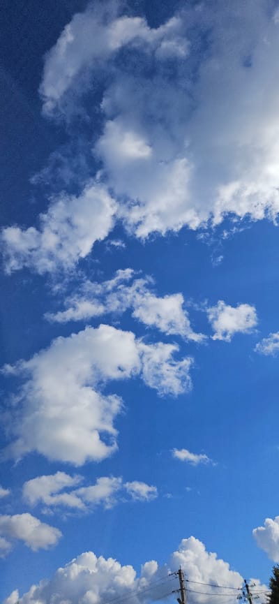 This media file captures a bright, clear blue sky dotted with fluffy white cumulus clouds. The perspective is from below, looking upwards, giving a sense of vastness. In the upper right portion of the image, a utility pole with wires is visible, suggesting an outdoor, possibly rural or suburban, setting. The light and the presence of scattered clouds indicate it is daytime, likely a sunny afternoon. The scene is serene and natural, with no people or specific events depicted. The focus is entirely on the interplay of the blue sky and the white clouds, creating a tranquil and airy atmosphere. The location context of Рождествено, Russia, further places the scene in a specific geographical setting.