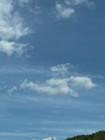 The image captures a section of the sky over a green, tree-covered hillside in Momin Prohod, Bulgaria. White, wispy clouds are scattered across a bright blue sky. The lower portion of the image shows the tops of coniferous trees on the hillside, indicating a natural or mountainous environment. The scene is peaceful and depicts a clear day.
