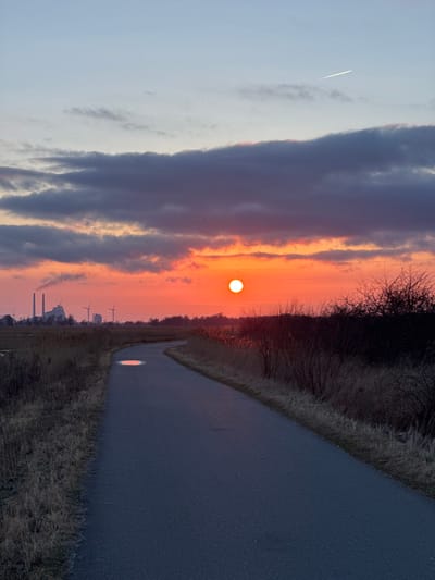 The image displays an outdoor landscape at sunset in Tårnby, Denmark. A dark gray asphalt path, approximately 2.5 meters wide, extends from the foreground and curves gently, first left then right, towards the midground. A small puddle, roughly 0.5 meters in diameter, is located on the path in the mid-left, reflecting the orange light of the setting sun. Both sides of the path are bordered by dry, light brown grasses and sparse dark shrubs.

In the far background to the left, an industrial facility is visible, characterized by multiple smokestacks, from which light gray plumes are emanating. Several three-bladed wind turbines are also discernible in the background, situated to the left of the sun. The sky dominates the upper portion of the image, presenting a vibrant sunset with intense orange and red hues near the horizon, transitioning to lighter orange and then blue-gray towards the zenith. The sun appears as a distinct, bright orange-white circular disc positioned in the mid-right sky, just above the distant treeline. Dark, elongated cloud formations are present across the mid-sky. A thin, white contrail from an aircraft is visible against the blue-gray sky in the upper-right section. No individuals or animals are present in the scene. The lighting indicates twilight conditions.