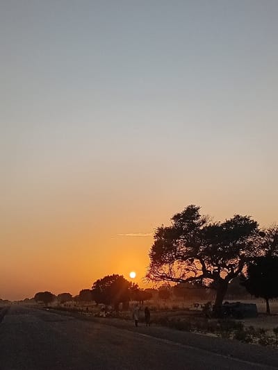 An image depicts a vibrant sunset. An orange glow dominates the horizon, partially obscuring the sun. Silhouette of a large tree frames the sunset on the right. Next to the tree is a road, casting a dark shadow. The sky transitions from orange near the sun to a lighter, grayer hue on the left.