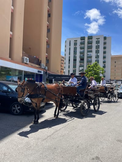 This media file shows a street scene in Algeciras, Spain, featuring horse-drawn carriages. The primary subjects are the carriages, one of which is prominently in the foreground, harnessed to a brown horse. Several people are visible, mostly men dressed in hats and traditional attire, some of whom appear to be driving or riding in the carriages. The scene is set on a paved street in a semi-urban environment, with buildings of various heights lining the background. One building features a sign for BBVA, a bank, and another for Cruzcampo, a brand of beer. The time of day appears to be daytime, with clear blue skies and notable shadows cast on the ground, indicating a sunny day. The overall impression is a cultural or tourist-oriented activity, possibly a parade or a tour. The text visible includes Spanish phrases like "Viajar sin comisiones incluso los fines de semana?" (Travel without commissions even on weekends?) and names of establishments.