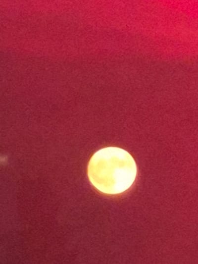 The image shows a blurred, circular, yellow object against a solid red background. The red background appears to be a textured surface. The yellow object is not clearly defined but is circular in shape and emits a soft glow. There are no discernible people, other objects, or environmental details visible. The image does not provide any information to place it in Laval, Canada, or any other specific location.