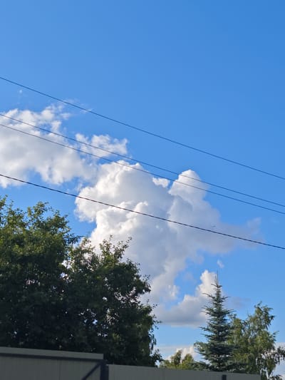 An outdoor vertical shot captures a clear blue sky with scattered white cumulus clouds and thin black power lines stretching horizontally across the frame in the upper half. In the lower half, the tops of lush green trees, including a tall, narrow evergreen, are visible against the sky. A light-colored fence runs along the bottom of the image. The scene is located in the Luzhniki SNT, Russia, suggesting a semi-rural or suburban environment. No people or animals are present.