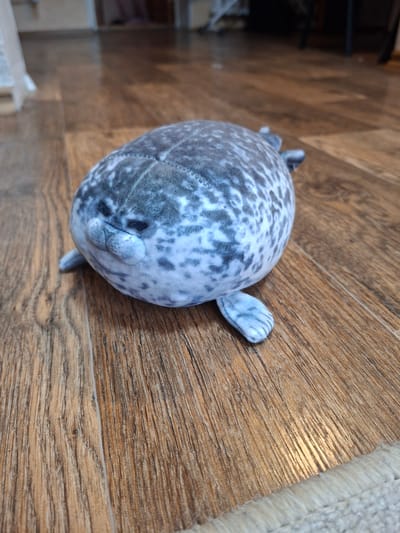 A plush toy seal rests on a wooden floor. The seal is round and gray with darker spots. Its flippers are visible. The floorboards are brown with visible grain. A light-colored rug is partially visible in the bottom right corner. The background is blurred, showing a doorway and hints of furniture. The scene is indoors, in what appears to be a home in Gorkovskiy, Russia. There are no people directly visible in the frame.