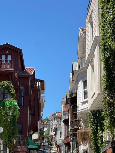The image shows a street scene in Beşiktaş, Turkey, with buildings on both sides of a clear blue sky. The buildings on the left are white, with detailed architectural elements, and are covered in green ivy. The buildings on the right are predominantly made of dark red wood, also adorned with intricate carvings and some with green awnings. Some of the red wooden buildings feature ornate window grills and decorative rooflines.

The scene appears to be captured on a sunny day, likely in the morning or afternoon given the bright sunlight casting shadows. The clear sky suggests good weather. There are no people visible in the frame, but the presence of parked cars on the right side of the image indicates an inhabited area. One building on the right has a sign with visible text, although it is partially obscured and difficult to read entirely. Part of the text appears to say "ALİCAN ALI".

The perspective of the image is unusual, as it is rotated such that the buildings appear to be rising from the bottom of the frame towards the top. This gives a unique and dramatic view of the urban architecture. The overall impression is one of a charming and historic neighborhood with well-maintained, characterful buildings.