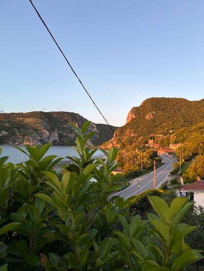 An outdoor, vertical, medium-long shot captures a view of a winding road and a river in Golubac Municipality, Serbia, under a clear blue sky. In the foreground, out-of-focus green foliage obscures the lower portion of the frame. A thin black wire cuts diagonally across the top of the image, extending from the upper left to the upper right.

The middle ground features a serene river on the left, reflecting the golden light of what appears to be sunset. Rocky cliffs rise from the water's edge, their surfaces illuminated by the warm light. On the right, a lush, green mountainside dominates the landscape, dotted with small houses and trees. A paved road with white dividing lines curves through the scene, bordered by trees and vegetation. Streetlights line the road, and a satellite dish is visible on the roof of a white building.

The background showcases more of the undulating, tree-covered mountains. The overall impression is one of a peaceful, natural setting with human habitation nestled within it. There are no people or animals visible in the frame, and no explicit actions or interactions are depicted. The scene is static and tranquil.