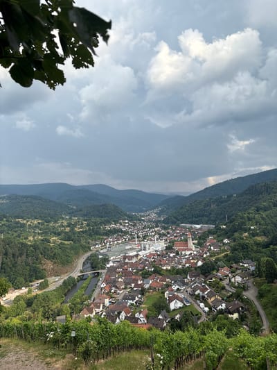 A high-angle, wide shot captures a scenic view of Gernsbach, Germany, on a cloudy day. The foreground features a vineyard with lush green vines and white roses. The midground showcases a densely packed town with red-tiled roofs, a prominent church with a tall steeple, and a river running through it. A highway with a bridge crosses the river, and residential buildings are nestled on the hillsides. The background is dominated by rolling, tree-covered mountains under a dramatic, overcast sky.