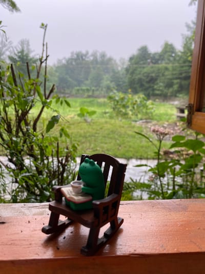 A miniature green frog figurine is seated in a small, dark brown chair, holding a tiny book. The frog appears relaxed, with its eyes closed and a gentle smile on its face. The chair is positioned on a wooden surface, likely a porch railing or table. In the background, a lush green landscape is visible, with trees and vegetation. The sky is overcast, suggesting a cloudy or rainy day. The scene is set outdoors, with the natural environment playing a significant role in the backdrop. The overall mood of the image is peaceful and tranquil, enhanced by the serene expression of the frog. The crops focus on the frog and its immediate surroundings, highlighting the details of the figurine and the texture of the wooden surface. The broader context of Dujiangyan City, China, implies a scenic location, possibly with mountainous or verdant scenery typical of the region.