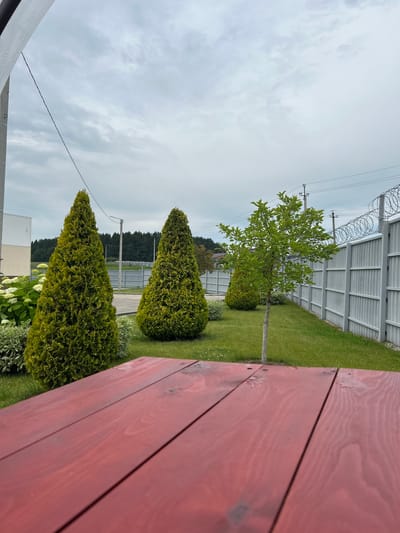 The image depicts an outdoor scene with a red wooden picnic table in the foreground. Beyond the table, a well-maintained lawn is visible, bordered by a white metal fence with barbed wire at the top. Three conical evergreen trees are planted on the lawn, along with a small deciduous tree. In the background, there are more trees and power lines against a cloudy sky. The location is identified as Кассины, Russia.