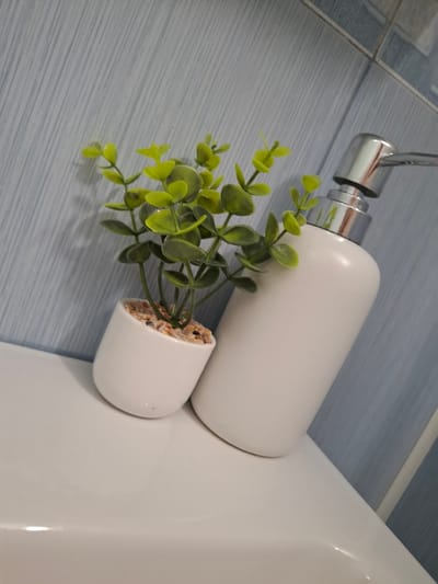 A top-down, close-up shot depicts a bathroom scene, likely in Choba, Bulgaria. A white, elongated soap dispenser with a silver pump rests on a blue-grey tiled surface, adjacent to the edge of a white sink. A small, potted artificial plant with green foliage sits to the left of the soap dispenser. The pot is also white and appears to contain artificial soil or pebbles. The overall scene appears clean and well-maintained.