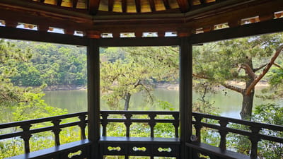 The image captures a view from inside a traditional Korean pavilion, likely in Ulsan, South Korea, with a vantage point overlooking a body of water surrounded by lush greenery. The pavilion features dark wooden construction, with a low railing and seating area in the foreground. The middle ground presents a lake reflecting the sky, framed by trees on the opposite shore. The background is characterized by dense foliage.
