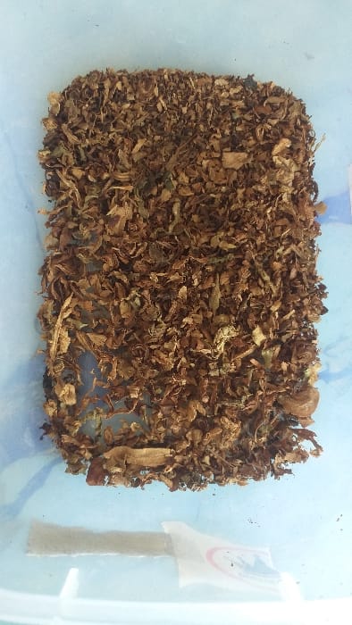 A quantity of dried, shredded brown botanical material, consistent with cut tobacco leaves, is centrally contained within a translucent plastic storage container. The material, predominantly brown with some green undertones, forms an uneven mound occupying the upper two-thirds of the visible container area. In the lower portion of the container, a single, flat, rectangular piece of light-colored material, approximately 7 cm in length, lies horizontally on the container's bottom surface; this object is consistent with rolling paper or a filter. A partially visible white label or sticker, with indistinct colored graphics, is present on the lower right interior or exterior surface of the container. The immediate environment is the interior of this container. No individuals are visible, and no actions or interactions are depicted. The scene is located in Batang Kuis, Indonesia.
