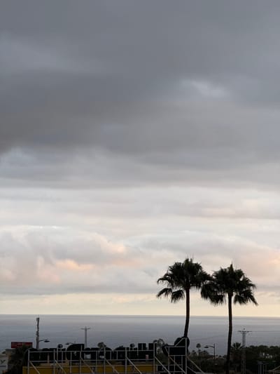 Two palm trees stand against a cloudy sky and the ocean in Fañabé, Spain. The sky is filled with heavy, gray clouds, with some lighter patches indicating the presence of the sun. The ocean is calm and stretches to the horizon. In the foreground, there are some dark structures that appear to be part of a building or an advertisement. There are also several utility poles visible, one with an antenna. The overall scene is somewhat overcast and muted in color.
