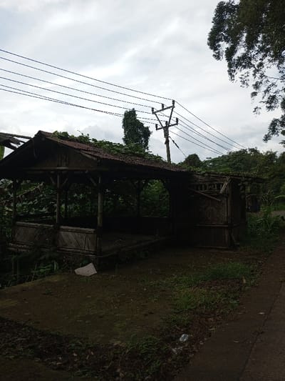 This static, exterior image depicts a dilapidated, open-sided structure set within a vegetated environment under an overcast sky in Ariyalai, Sri Lanka.
The primary subject is a single-story, open-sided shelter or kiosk-type building, constructed predominantly from bamboo and dark wooden poles. It features a peaked roof covered with rusted corrugated metal, heavily overgrown with dark green vines and foliage. The structure's front exhibits an open design with a low bamboo railing, while the right side includes a more enclosed section detailed with vertical and diagonal bamboo slats. The interior of the structure appears dark and unoccupied, with an earth floor. A portion of the roof framing on the left side shows visible damage or deterioration.
The immediate foreground consists of dark earth and sparse green grass, with minor debris including a white flat object and a crumpled plastic bottle. A narrow, dark gray paved or concrete pathway runs along the right edge of the frame.
In the midground and background, dense tropical foliage and trees with dark green leaves surround the structure. A wooden utility pole with three cross-arms and multiple parallel power lines extends horizontally across the upper midground, positioned to the right of the structure. The sky is entirely overcast, displaying a uniform light gray cloud cover.
No individuals or active interactions are present in the scene. The overall lighting is dim and diffuse, consistent with an overcast day, resulting in soft shadows and a dark interior for the structure.