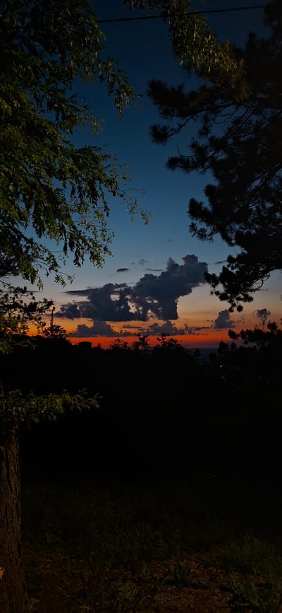 A vertical, wide-angle shot captures a twilight scene with silhouettes of trees against a colorful sky. In the foreground, the dark trunk of a tree is visible on the left, with branches and leaves framing the upper left corner. A pine tree’s silhouette is in the upper right. The sky transitions from a deep blue at the top to bands of orange and red near the horizon, where a line of dark trees and a distant building are silhouetted. A few dark clouds are scattered across the sky. The lower portion of the image is black, obscuring the ground, suggesting it is nighttime or very low light. The location is described as Lyaskovets, Bulgaria, implying an outdoor, elevated viewpoint overlooking a landscape.