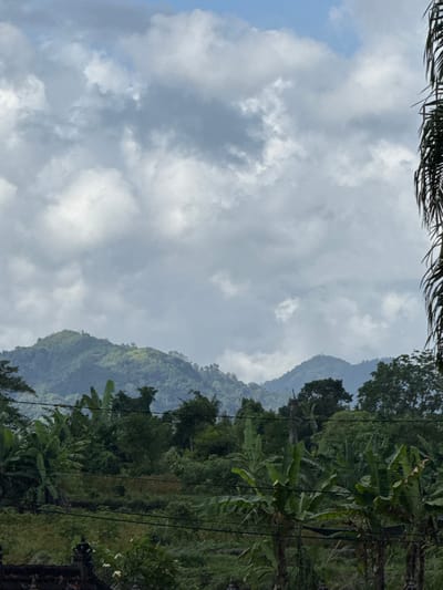 The image captures a lush, verdant landscape dominated by rolling green hills and mountains under a cloudy sky. In the foreground, a dense forest of tropical vegetation, including banana trees with their characteristic large leaves, is visible. Several thin, dark wires traverse the lower portion of the image, suggesting the presence of power lines or telephone wires. The sky is filled with a mix of light and dark gray clouds, interspersed with patches of bright blue sky. The overall impression is one of a natural, tropical environment, possibly in a rural or semi-rural setting, consistent with locations like Banjarangkan, Indonesia, known for its agricultural lands and natural beauty. No people or specific structures are clearly identifiable beyond the natural elements and the wires.