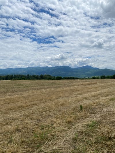 This is a photograph of a harvested field in Kurtovo Konare, Bulgaria. The field is covered in dry, golden straw from a recently harvested crop, with some green grass interspersed. In the middle ground, a line of dark green trees stretches across the horizon, separating the field from a range of hazy, blue-green mountains in the background. The sky above is filled with a mix of white cumulus clouds and patches of blue sky. The overall impression is one of a rural, agricultural landscape under a cloudy day. There are no people or animals visible in the image.