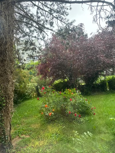 The image presents an outdoor scene, likely a garden or park setting in Les Ulis, France. A tree with bare branches occupies the lower left foreground, partially obstructing the view of a multi-story building in the background, partially visible through the trees. Another tree with red leaves is in the midground on the left. Lush green grass covers the ground, interspersed with bushes and a rose bush with red and orange roses. The sky is overcast.