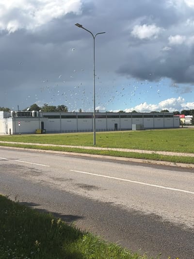 A low-angle, exterior, eye-level shot captures a wide view of a modern, industrial-style building with a light-colored facade, extending horizontally across the middle ground. The building has a repeating pattern of dark-colored rectangular windows or panels. In front of the building is a well-maintained green lawn. To the left of the building, a yellow industrial bin is visible, and to the right, a metal enclosure. A paved road with a white line runs across the foreground, bordered by a grassy verge. A tall, dark lamppost with a single lamp stands in the middle ground, to the right of the building. The sky above is a mix of dark, dramatic storm clouds and patches of lighter blue sky with scattered white clouds. A large flock of white birds is scattered across the sky, many in flight. The overall scene appears to be on the outskirts of Jēkabpils, Latvia, likely in an industrial or commercial zone, under a dynamic, cloudy sky.