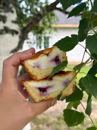 A person's hand holds two halves of a baked pastry, likely a cheesecake or tart, with a cream filling and visible blueberries. The pastry has a golden-brown crust. The background is blurred, showing green leaves from a tree in the foreground, and a building with a white facade and windows in the distance. The scene is set outdoors, possibly in a yard in the city of Yug, Russia, given the birch tree and building style which is common in rural areas of Russia.