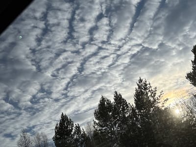 The image shows a view of the sky with clouds and trees in Ust-Ilimsk, Russia. The sky is mostly covered with textured, layered clouds and some patches of blue. The sun shines through the trees on the right side. The trees appear as silhouettes. There is a possible reflection on the window in the upper left corner.