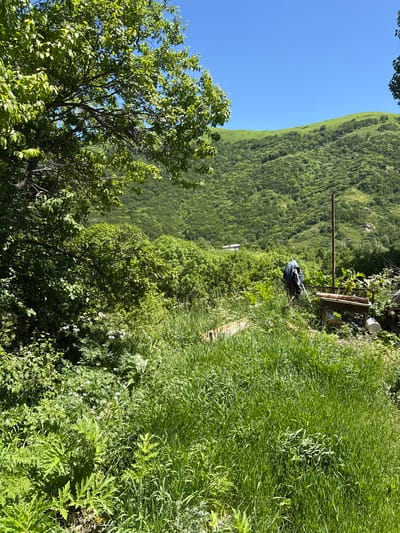This image depicts a lush, green hillside in the city of Jermuk, Armenia. In the foreground, tall grasses and various plants dominate the scene, with a large tree on the left casting shadows. In the mid-ground, a person wearing dark clothing and a backpack stands near a wooden structure and a tall pole. The background features rolling green hills covered in dense vegetation under a clear blue sky. The overall impression is one of a natural, semi-rural landscape.