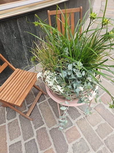An overhead shot captures a still-life scene featuring a large planter filled with lush green grasses and eucalyptus branches. The planter, a pale pinkish-beige, sits on a cobblestone patio. Beside the planter are two empty wooden chairs, one slightly folded. The patio is made of rectangular cobblestones in various shades of brown and gray, laid in a stretcher bond pattern. To the left of the patio, a dark gray stone surface is visible, possibly a different flooring material or a wall. A sliver of a white frame, perhaps a window or door, is also visible on the far left. The lighting suggests daytime, and the setting appears to be an outdoor patio, possibly in a residential or commercial area. The scene is serene and appears to be set in St. Moritz, Switzerland. There is no visible text.