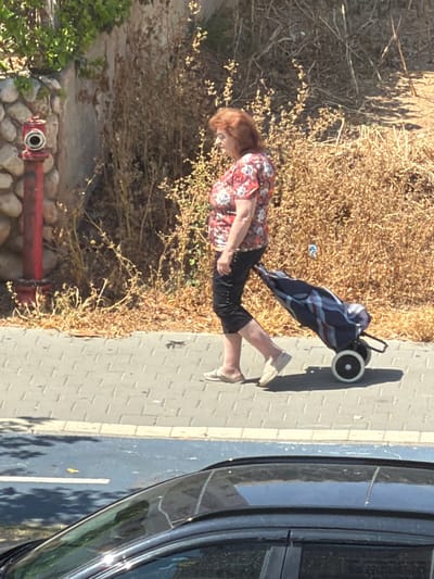 An overhead, medium shot captures an elderly woman with reddish-brown hair walking on a paved sidewalk next to dry, brushy vegetation. She is wearing a red and white floral pattern short-sleeved shirt and black cropped pants. The woman is pulling a wheeled shopping cart with a blue and white plaid bag attached. To her left, a red fire hydrant is visible against a wall composed of large, irregularly shaped stones. The sidewalk is made of light-colored rectangular pavers with a white border separating it from a dark blue paved area, likely a street, where the top of a dark-colored car is visible in the foreground. The scene appears to be set in a residential area of Ashdod, Israel, during daylight hours.